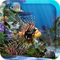 3D Aquarium Live Wallpaper Hd Alternatives