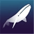 Abyssrium Alternatives