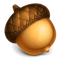 Acorn Alternatives