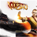 Age Of Wushu Age Of Wulin  Alternatives
