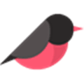 Airfinch  Airbnb Clone Script Alternatives