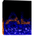 Algorithm Lab Alternatives