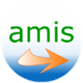 Amis Alternatives