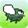 Angry Fly Alternatives