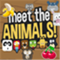 Animal Party Alternatives