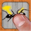 Ant Smasher Alternatives