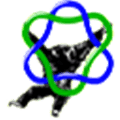 Ape A Plasmid Editor Alternatives