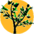 Arbaro Alternatives