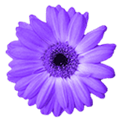 Artweaver Alternatives