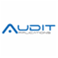 Audit Applications Alternatives