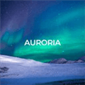 Auroria Alternatives