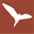 Avian Alternatives