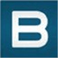 B Processor Alternatives