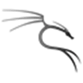 Backtrack Linux Alternatives