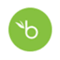 Bamboohr Alternatives