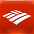 Bank Of America Alternatives
