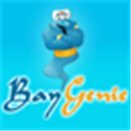 Baygenie Ebay Auction Sniper Alternatives