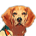 Beagle im Alternatives