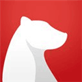 Bear Writer Alternatives
