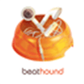 Beathound Alternatives