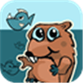 Beaver Time Alternatives