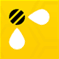 Bee inc  Alternatives