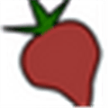 Beets Alternatives