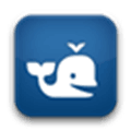 Beluga Alternatives