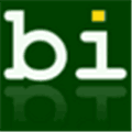 Bibisco Alternatives