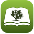 Bible By Olive Tree Alternatives