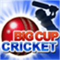 Big Cup Cricket Alternatives