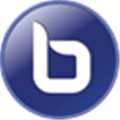 Bigbluebutton Alternatives