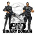 Binary Domain Alternatives