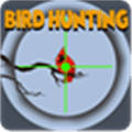Bird Hunting Alternatives