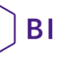 Birt Alternatives