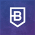 Bitdegree Alternatives