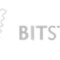 Bitstamp Alternatives