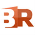 Bizrun Alternatives