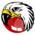 Black Hawk Browser Alternatives