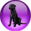Black Lab Linux Alternatives