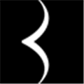 Blek Alternatives