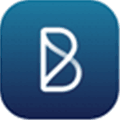 Blink  Digital Transformation Alternatives