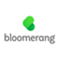 Bloomerang Alternatives