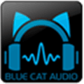 Blue Cat S Patchwork Alternatives