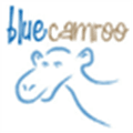 Bluecamroo Alternatives