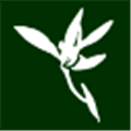 Blumind Alternatives