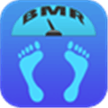 Bmr Calculator Alternatives