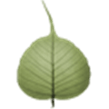 Bodhi Timer Alternatives