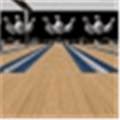 Bowling Evolution Alternatives