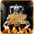 Boxing Street Fighter Alternatives